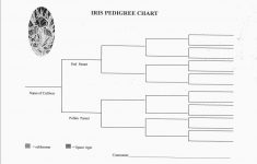 great dog pedigree chart template images gallery printable pedigree free printable dog pedigree generator Great Dog Pedigree Chart Template Images Gallery. Printable Pedigree - Free Printable Dog Pedigree Generator