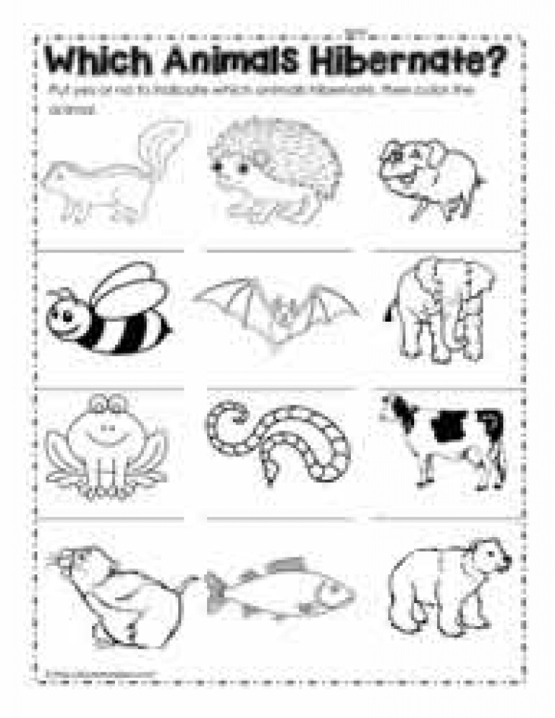 free-printable-hibernation-worksheets-free-printable