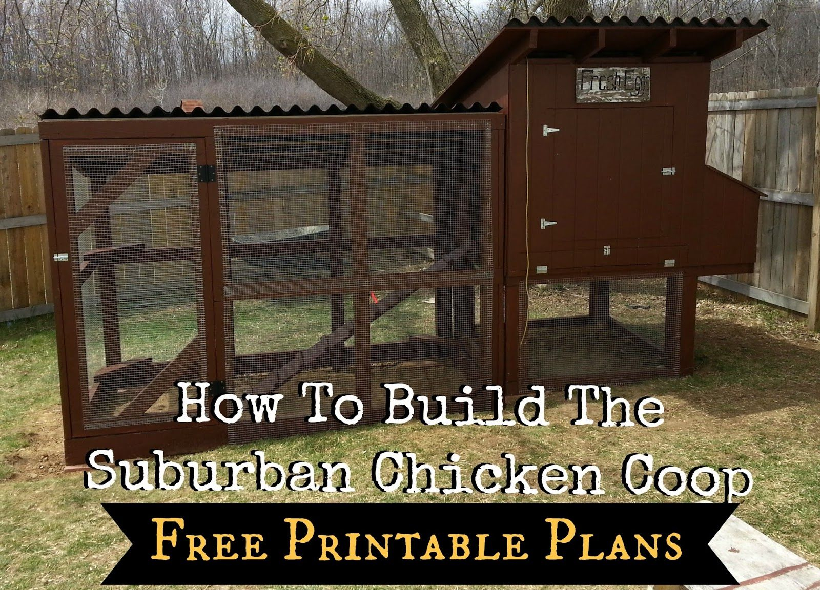 How To Build The Simple Suburban Chicken Coop - Free Printable Plans - Free Printable Chicken Coop Plans
