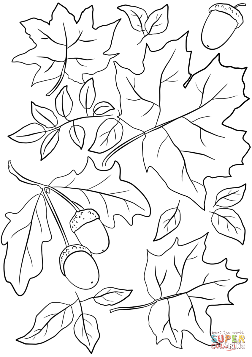 Leaf Coloring Pages Autumn Leaves And Acorns Page Free Printable 849 - Free Printable Leaf Coloring Pages