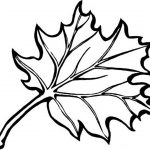Leaf Coloring Pages Printable | Coloring Pages For Kids | Pinterest   Free Printable Fall Leaves Coloring Pages