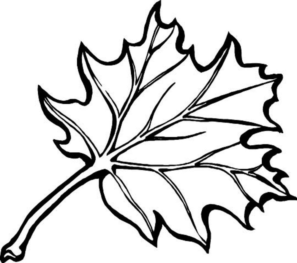 Leaf Coloring Pages Printable | Coloring Pages For Kids | Pinterest - Free Printable Fall Leaves Coloring Pages