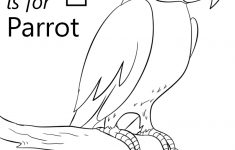 Letter P Is For Parrot Coloring Page | Free Printable Coloring Pages - Free Printable Parrot Coloring Pages