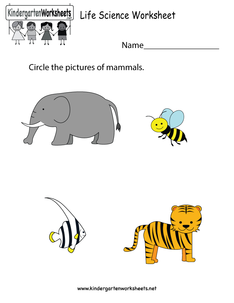 Life Science Worksheet - Free Kindergarten Learning Worksheet For Kids - Free Printable Worksheets For Kg1