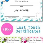 Lost Tooth Certificate | New England Teacher | Teaching First Grade   Free Printable Swimming Certificates For Kids