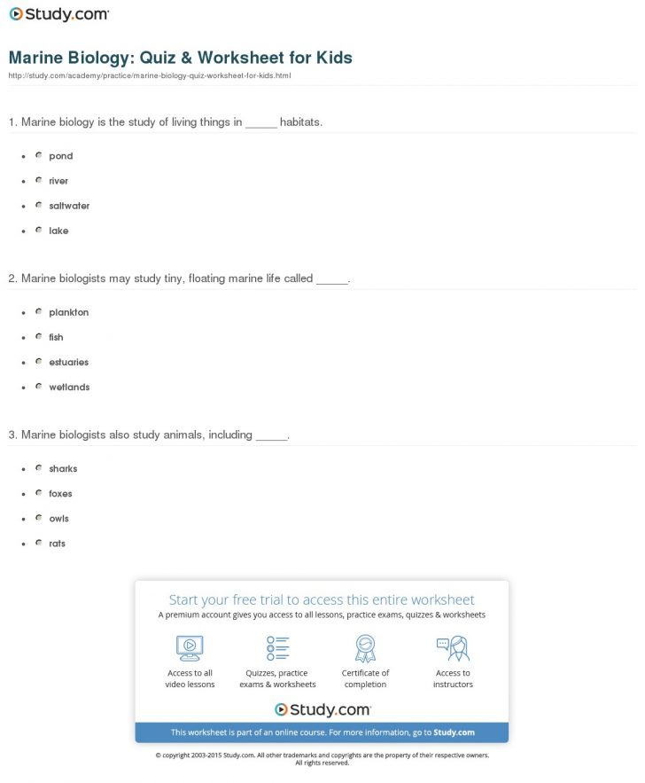 Marine Biology Quiz & Worksheet For Kids Study Free Printable