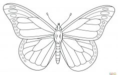 Monarch Butterfly Coloring Page | Free Printable Coloring Pages - Free Printable Butterfly Coloring Pages
