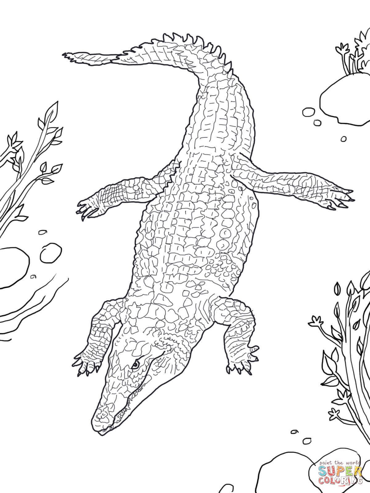 Nile Crocodile Coloring Page | Free Printable Coloring Pages - Free Printable Pictures Of Crocodiles