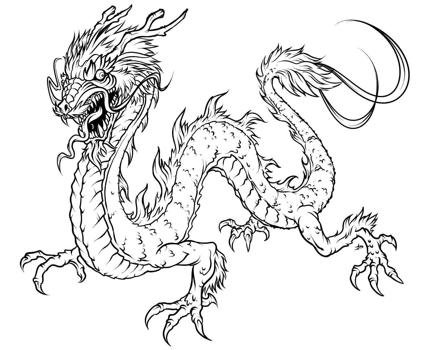 Online Coloring Pages Chinese, Coloring Page Chinese Dragon Dragons. - Free Printable Chinese Dragon Coloring Pages