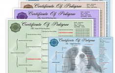Online Pedigree Maker - Yolar.cinetonic.co In Free Printable Dog - Free Printable Dog Pedigree Generator