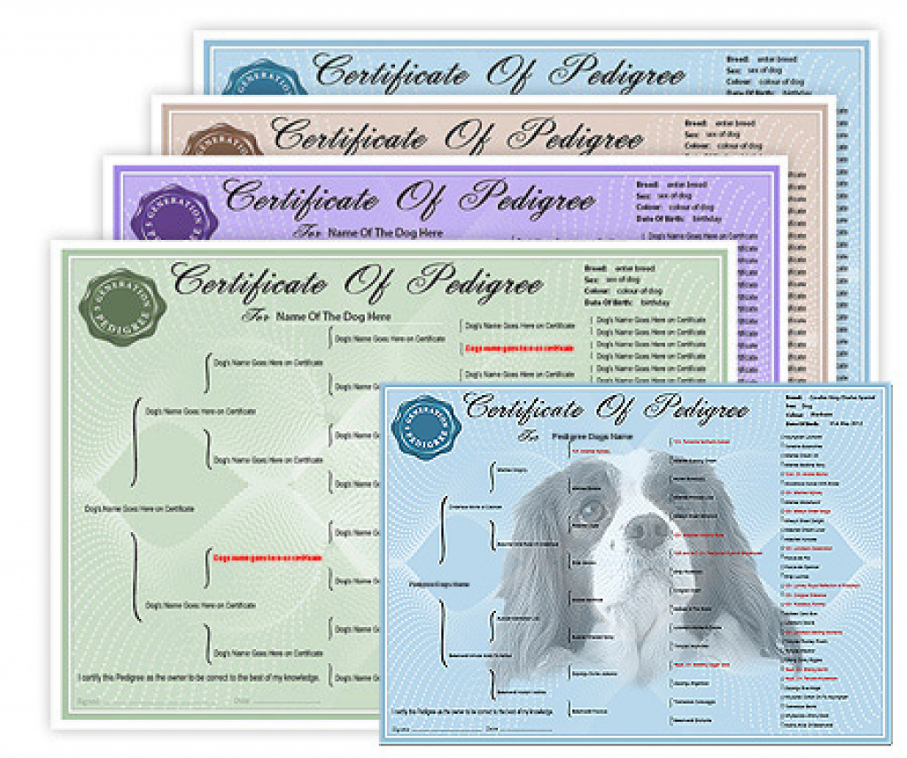 free-printable-dog-pedigree-generator-free-printable