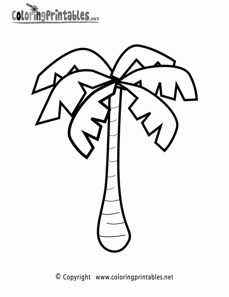 Palm-Tree-Coloring-Page-Printable.gif 800×1,035 Pixels | Pumpkin - Free Printable Palm Tree Template