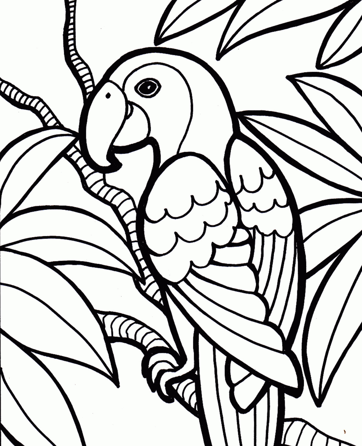Parrot Coloring Pages #35552 - Free Printable Parrot Coloring Pages