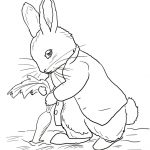 Peter Rabbit Coloring Pages   Coloringtop | Embroidery/ Animals   Free Printable Peter Rabbit Coloring Pages