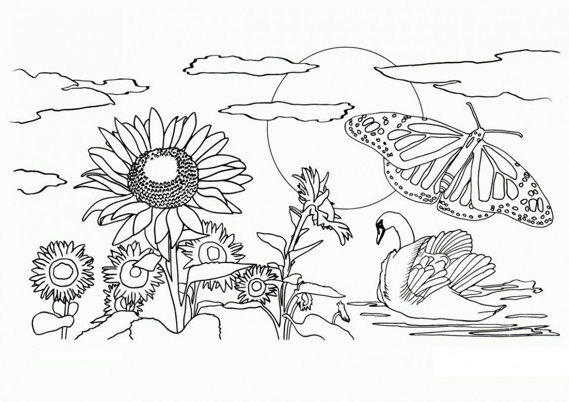 Pinpainting Nature On Paintingnature.club | Coloring Pages - Free Printable Nature Coloring Pages