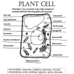 Plant Cell Parts Worksheet With Word Bank | Name What Makes You Tick   Free Printable Cell Worksheets
