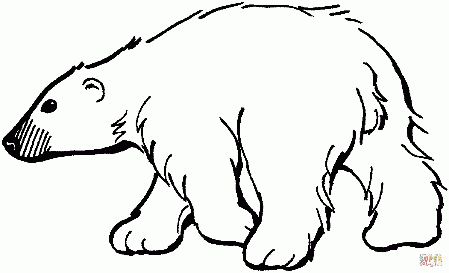 Polar Bears Coloring Page New Polar Bear To Color 9 Coloring Page - Polar Bear Printable Pictures Free