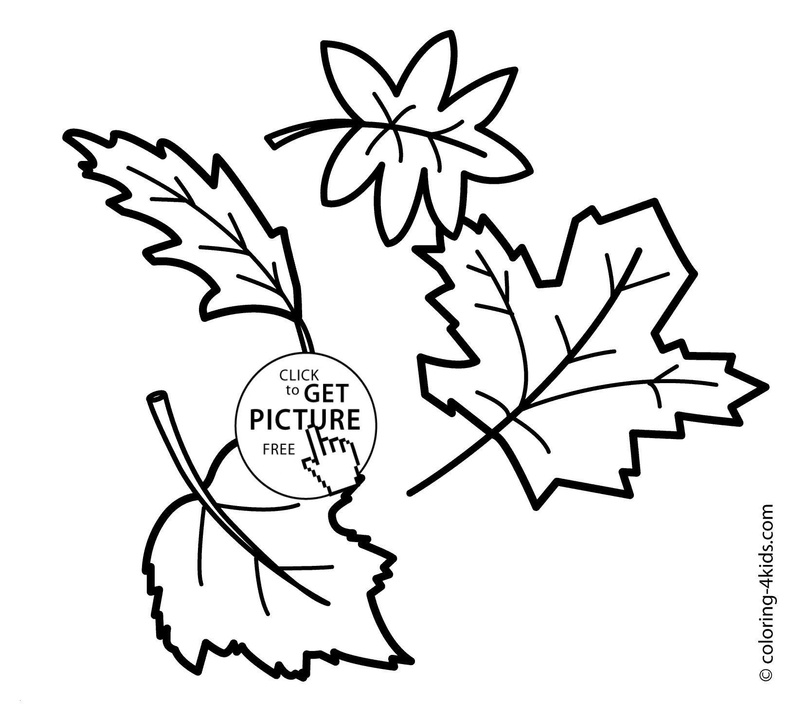 Printable Colored Autumn Leaves | Download Them Or Print - Free Printable Fall Leaves Coloring Pages