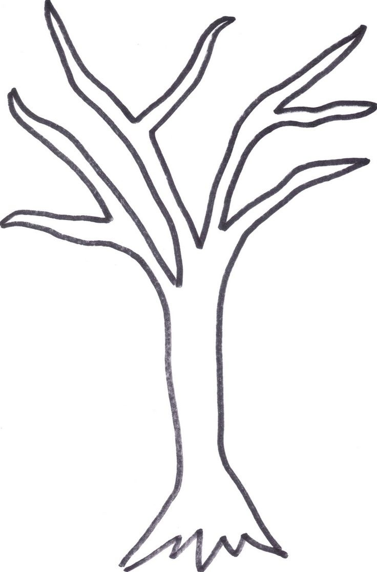 Printable Tree Trunk | Here Is The Tree Outline If Anyone Wants To - Free Printable Tree Template