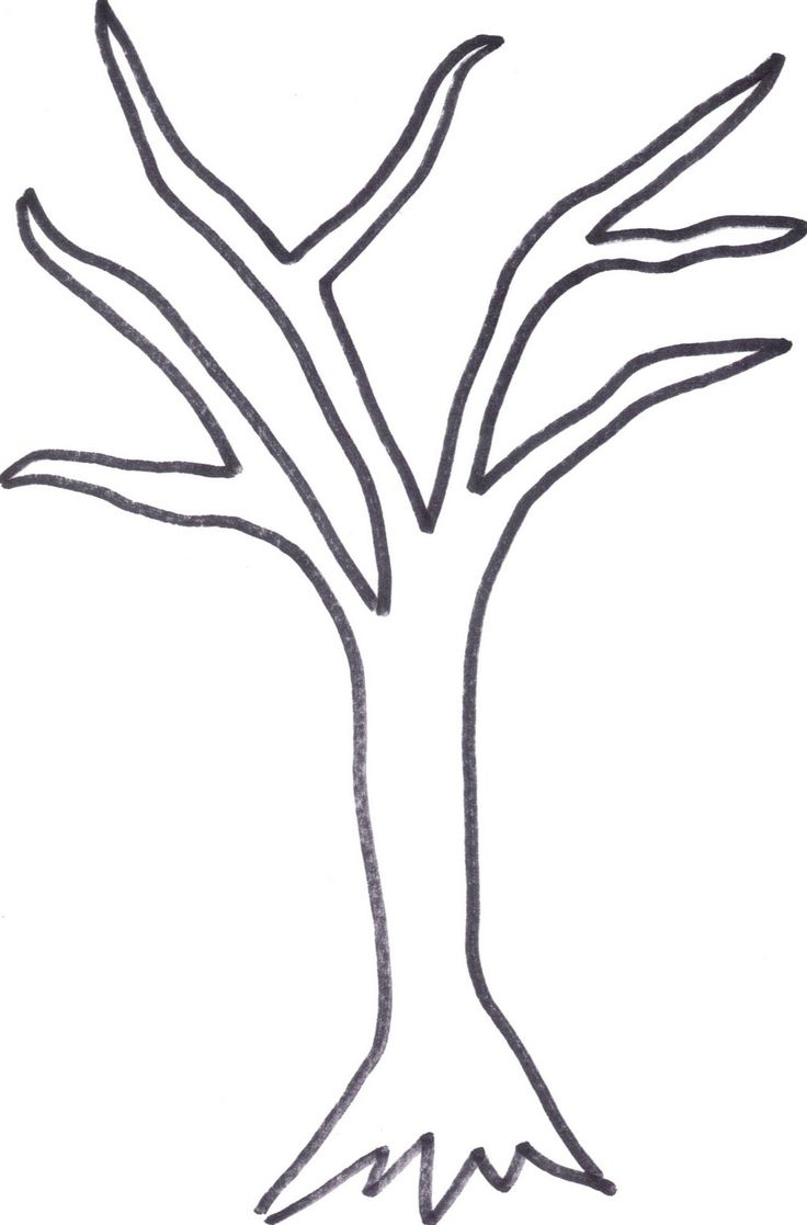 Free Printable Tree Template