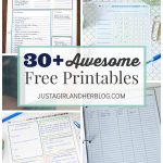 Project Gallery  Free Printables   Just A Girl And Her Blog   Free Printable Household Binder