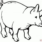 Smiling Pig Coloring Page | Free Printable Coloring Pages   Pig Coloring Sheets Free Printable