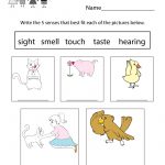This Is An Easy Way To Learn About Five Senses. You Can Download   Free Printable Worksheets Kindergarten Five Senses