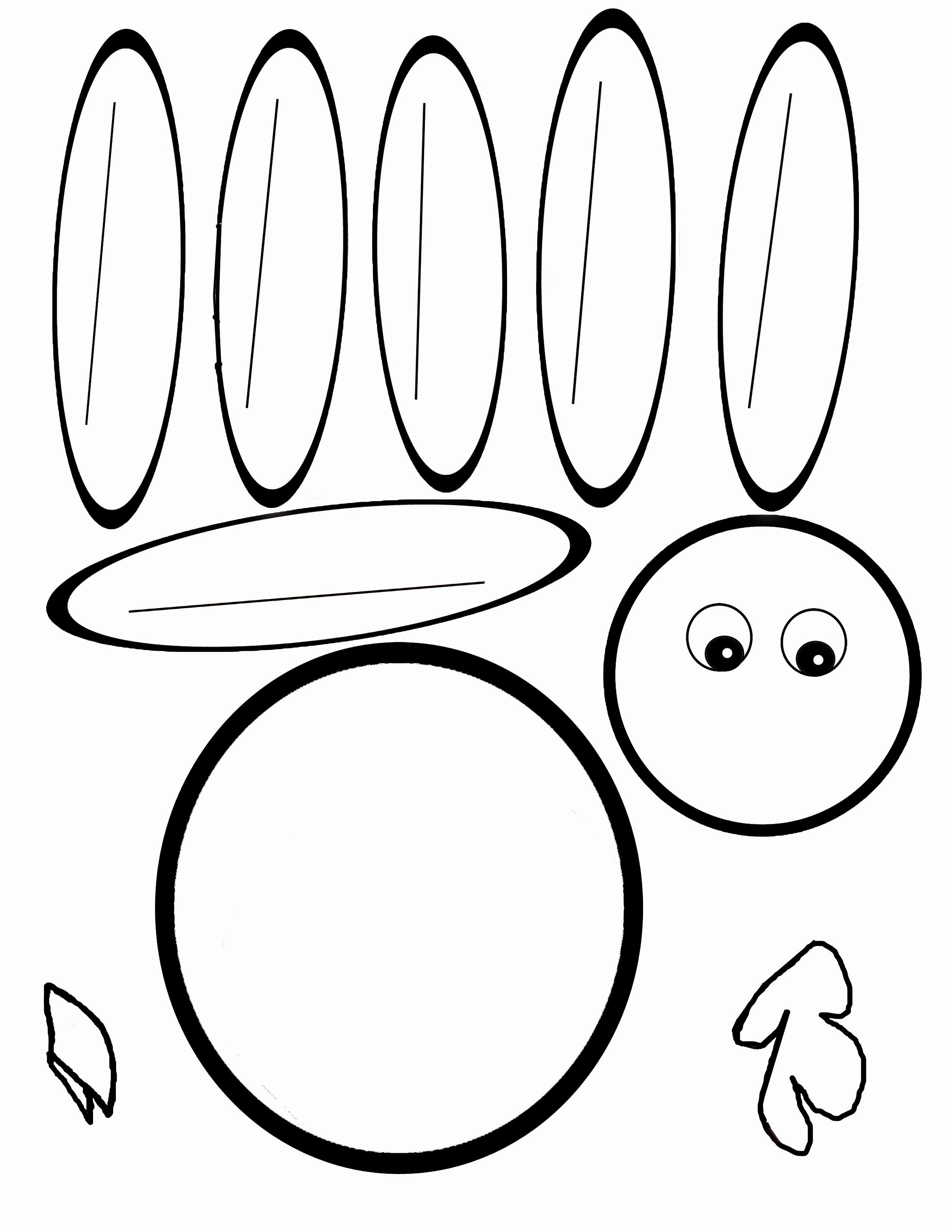 Turkey Template Preschool Printable - 7.19.hus-Noorderpad.de • - Free Printable Thanksgiving Turkey Template