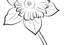 yellow daffodil coloring page free printable coloring pages free printable pictures of daffodils Yellow Daffodil Coloring Page | Free Printable Coloring Pages - Free Printable Pictures Of Daffodils