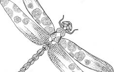 Zentangle Dragonfly Coloring Page | Free Printable Coloring Pages - Free Printable Pictures Of Dragonflies