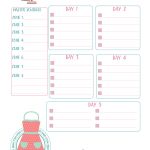 Zone Cleaning Printable Personal Size Insert   Free Printable Planner Inserts